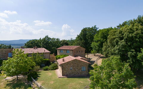Casa Stella Serena, Podere le Scopaie, Pool: Albero, Area Rurale, Lotto, Villetta, Estate, Ricreazione, Villaggio, Prato, Agriturismo, Parco