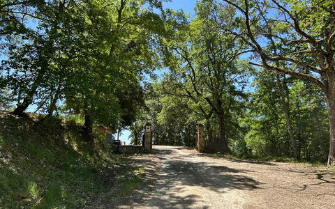Casa Stella Serena, Casole D'Elsa, Pool: Ramo, Foglia, Albero, Ambiente Naturale, Natura, Legna, Vegetazione, Paesaggio Naturale, Strada, Trail