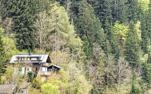 Chalet Kitzsteinhorn: Albero, Ambiente Naturale, Vegetazione, Casa, Arbusto, Foresta, Villetta, Comunita 'Impianto, Casa