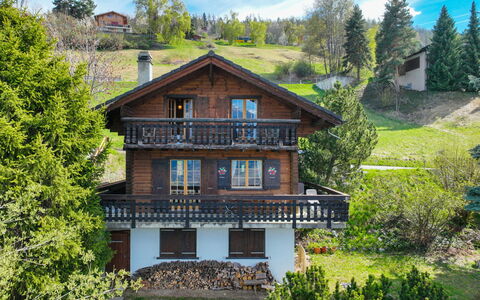 Chalet le Trèfle: Casa, Villetta, Casa, Area Rurale, Agriturismo, Pendenza, Portico, Balcone, Larice