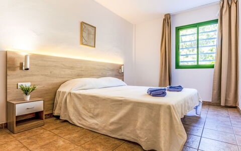 Festival Village: Acqua, Albero, Piscina, Ricorrere, Giardino, Eco Hotel, Shade, Landscaping, Tropici