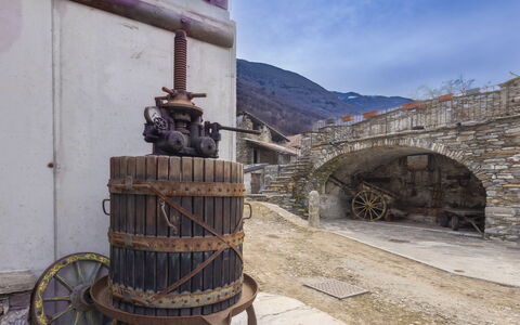 Valtellina 646: Acqua, Albero, Piscina, Ricorrere, Giardino, Eco Hotel, Shade, Landscaping, Tropici