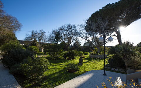 Tenuta Renna: Foglia, Verde, Natura, Albero, Vegetazione, Ramo, Arbusto, Paesaggio, Giardino