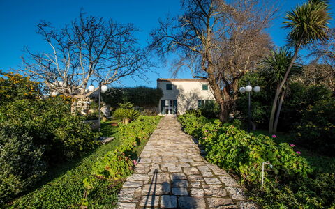 Tenuta Renna: Arbusto, Giardino, Primavera, Landscaping, Cortile, Passerella, Giardino Botanico