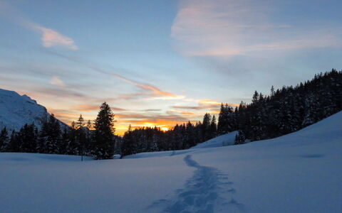 La Suisse Normande: Cielo, Blu, Inverno, Ramo, Natura, Neve, Alba, Sole, Terreno, Natura Selvaggia