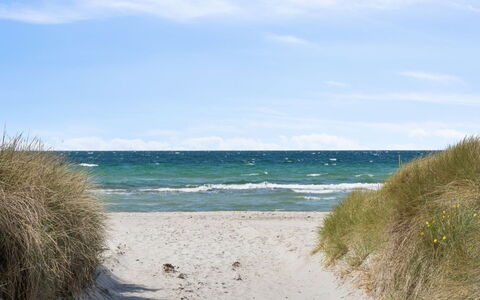 Gizelle - 200M from the Sea: Blu, Ambiente Naturale, Spiaggia, Orizzonte, Costa, Mare, Costiera E Morfologie Oceanic, Ecoregione, Riva