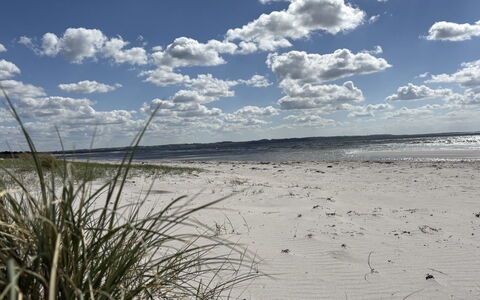 Gizelle - 200M from the Sea: Cielo, Blu, Nube, Giorno, Ambiente Naturale, Orizzonte, Spiaggia, Cumulo, Ecoregione, Sabbia