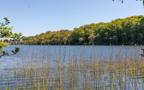 Espen - 300M from the Sea: Blu, Acqua, Corpo D'Acqua, Risorse Idriche, Ambiente Naturale, Natura, Paesaggio Naturale, Vegetazione, Waterway, Banca