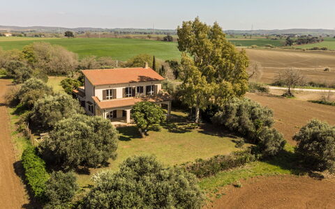 Tarquinia Garden Home: Albero, Plain, Pascolo, Area Rurale, Lotto, Insediamento Umano, Estate, Campo, Piantagione
