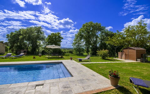 Gli Ulivi: Albero, Piscina, Giardino, Shade, Landscaping, Prato, Estate, Backyard, Cortile, Design