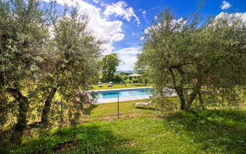 Gli Ulivi: Prato, Giardino, Prato, Shade, Parco, Landscaping