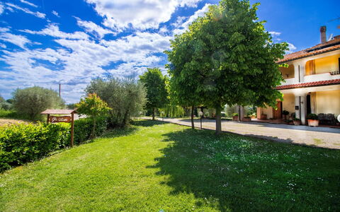 Gli Ulivi: Blu, Lotto, Prato, Giardino, Estate, Agriturismo, Shade, Cortile, Landscaping, Hacienda