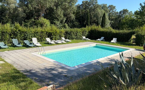 Civico108 Vacation Home, Pool, Castellina in Chian: Piscina, Mobili Da Esterno, Giardino, Ricorrere, Backyard, Prato, Estate, Shade, Landscaping, Cortile