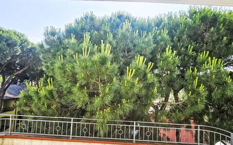 Rosolina Mare 664: Legna, Casa, Villetta, Casa, Piscina, Portico, Porta, Ricorrere, Shade, Estate