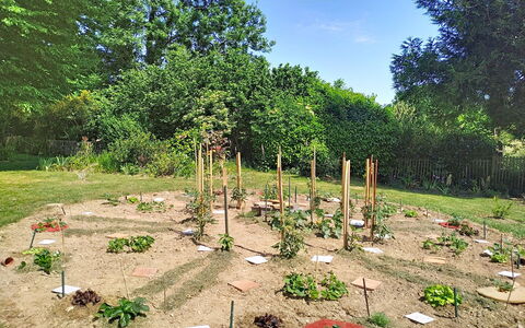 Coin Nature: Arbusto, Comunita 'Impianto, Giardino, Groundcover, Suolo, Woody Impianto, Piantagione, Giardino Botanico, Landscaping