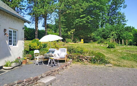 Coin Nature: Arbusto, Giardino, Villetta, Casa, Prato, Backyard, Landscaping, Cortile, Driveway
