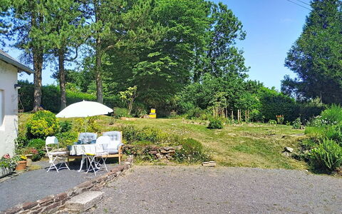 Coin Nature: Erba, Arbusto, Giardino, Villetta, Groundcover, Backyard, Prato, Landscaping, Cortile