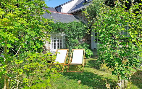 La Dolce Vita Brezhoneg: Verde, Foglia, Arbusto, Villetta, Giardino, Primavera, Groundcover, Shade, Backyard, Cortile