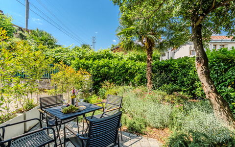 Renza: Verde, Foglia, Vegetazione, Arbusto, Comunita 'Impianto, Giardino, Groundcover, Primavera, Shade