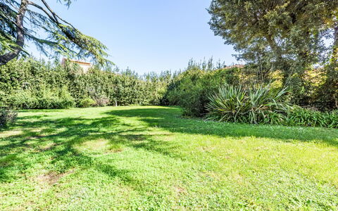 San Giovanni alla Vena: Mobilia, Interior Design, Pavimentazione, Sedia, Pavimento, Tavolo, Cucina & Sala Da Pranzo Tavolo, Shade, Soffitto, Color Legno
