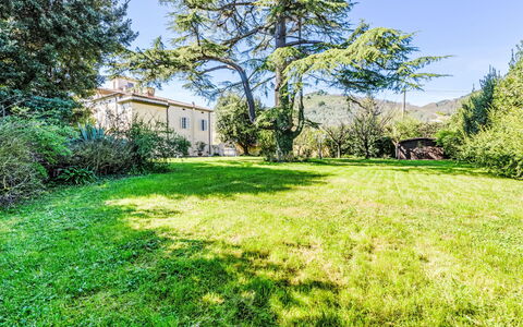 San Giovanni alla Vena: Mobilia, Interior Design, Pavimentazione, Sedia, Pavimento, Tavolo, Cucina & Sala Da Pranzo Tavolo, Shade, Soffitto, Color Legno