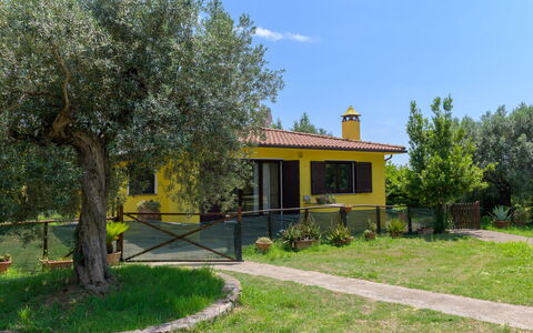 Cottage Girasole di Mare: Arbusto, Villetta, Giardino, Backyard, Prato, Estate, Cortile, Shade, Landscaping, Hacienda