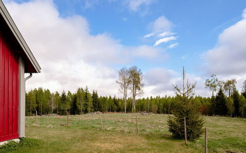 Grönadal: Erba, Albero, Verde, Paesaggio Naturale, Pascolo, Lotto, Plain, Paesaggio, Area Rurale