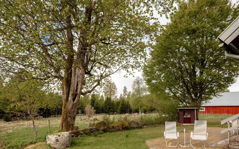 Grönadal: Albero, Foglia, Ramo, Erba, Arbusto, Lotto, Giardino, Prato, Ramoscello