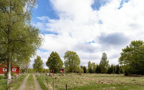 Grönadal: Erba, Albero, Foglia, Plain, Pascolo, Lotto, Area Rurale, Campo, Pascolo