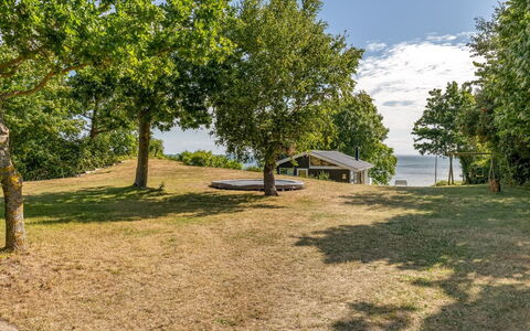 Stefan - 50M from the Sea: Blu, Albero, Erba, Lotto, Plain, Shade, Prato, Prato, Landscaping, Parco