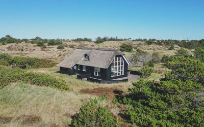 Yanne - 550M from the Sea