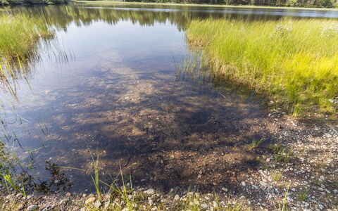 Sevettijärventie 8753: Acqua, Ambiente Naturale, Natura, Palude, Comunita 'Impianto, Riflessione, Banca
