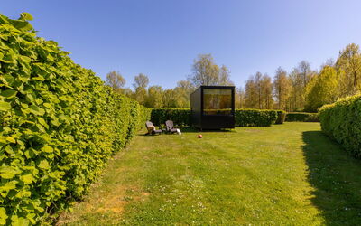 Tiny Cabin Sunshine No 21