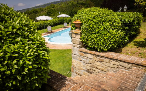 Casa Ivan: Arbusto, Giardino, Groundcover, Hedge, Landscaping, Prato, Backyard, Piscina, Cortile, Eco Hotel