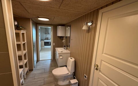 Brunetta - 200M to the Fjord: Pavimentazione, Legna, Pavimento, Interior Design, Idraulico Fixture, Camera, Soffitto, Idraulico, Lavello, Bagno