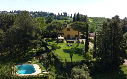 Villa Quintino: Arbusto, Giardino, Casa, Estate, Villetta, Landscaping, Prato, Hacienda, Piscina, Backyard