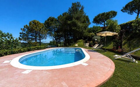 Villa Quintino: Blu, Piscina, Ricorrere, Giardino, Landscaping, Shade, Mobili Da Esterno, Eco Hotel, Backyard, Cortile