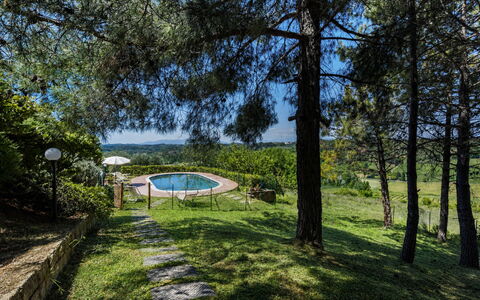Villa Quintino: Blu, Shade, Landscaping, Parco, Piscina