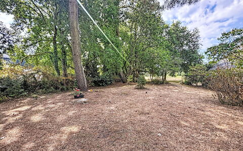 Ploemel 102: Albero, Foglia, Ramo, Arbusto, Comunita 'Impianto, Suolo, Lotto, Trail, Tronco, Groundcover