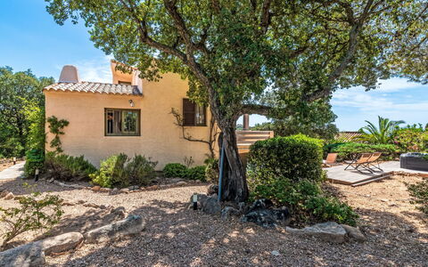Mare Serena: Arbusto, Comunita 'Impianto, Giardino, Shade, Landscaping, Estate, Cortile, Agriturismo, Backyard