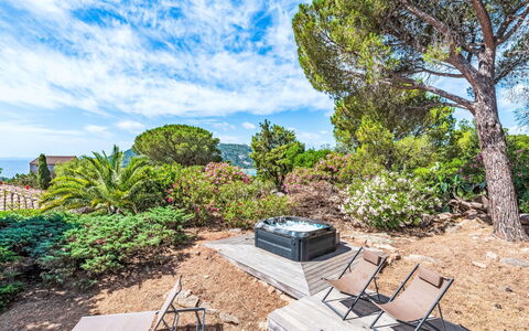Mare Serena: Arbusto, Comunita 'Impianto, Giardino, Landscaping, Mobili Da Esterno, Eco Hotel, Tropici