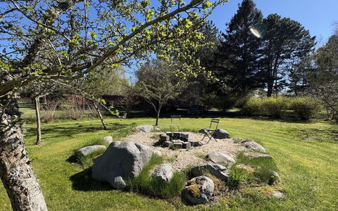 Anelle - 1.2Km to the Fjord: Erba, Roccia, Arbusto, Giardino, Groundcover, Prato, Landscaping