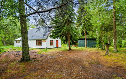 Jooseppi - 4.8Km from the Sea: Albero, Erba, Legna, Villetta, Casa, Lotto, Area Rurale, Tronco, Woodland, Edifici Giardino