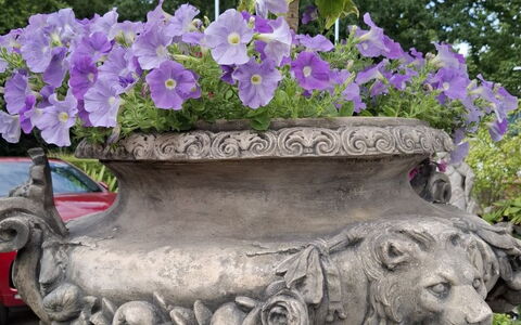 The Mews: Fiore, Vaso Di Fiori, Primavera, Viola, Giardino, Pianta Della Casa, Fiorai, Viola, Disegno Floreale