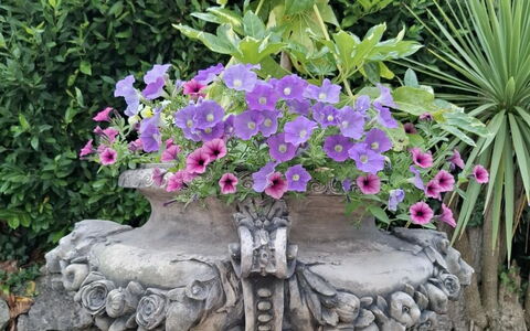 The Mews: Fiore, Giardino, Vaso Di Fiori, Primavera, Pianta Della Casa, Giochi D'Acqua, Fiorai, Ornamento Da Giardino