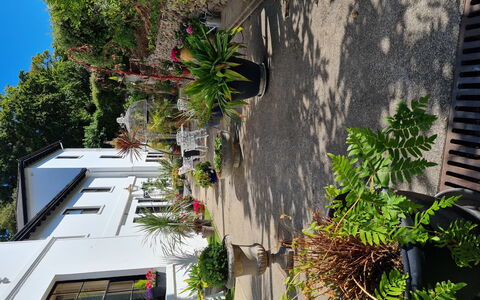 The Mews: Giardino, Landscaping, Backyard