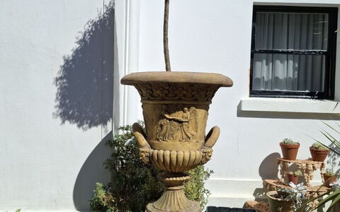The Mews: Vaso Di Fiori, Arbusto, Giardino, Pianta Della Casa, Calcestruzzo, Hedge, Erba