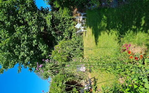 The Mews: Fiore, Verde, Foglia, Vegetazione, Arbusto, Giardino, Comunita 'Impianto, Primavera, Pianta Erbacea, Wildflower