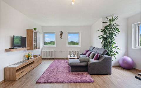 Happy Home: Mobilia, Interior Design, Pavimentazione, Divano, Pavimento, Soggiorno, Legna, Televisione, Soffitto, Camera