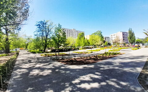 Przy Klifie: Albero, Arbusto, Spazio Pubblico, Giardino, Marciapiede, Passerella, Parco, Landscaping, La Piazza Cittadina, Giardino Botanico